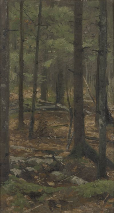 In the Forest of Rominten by Richard Friese
